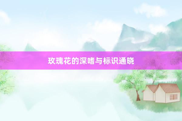 玫瑰花的深嗜与标识通晓